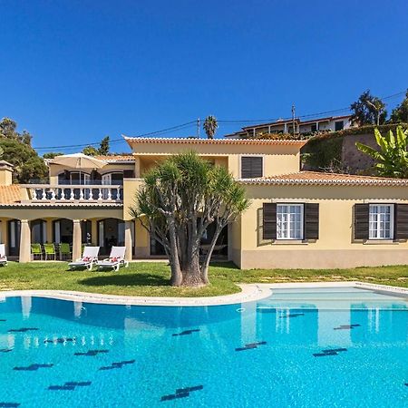 Vila Eucalipto by Travel to Madeira Funchal (Madeira) Exterior foto