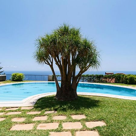 Vila Eucalipto by Travel to Madeira Funchal (Madeira) Exterior foto